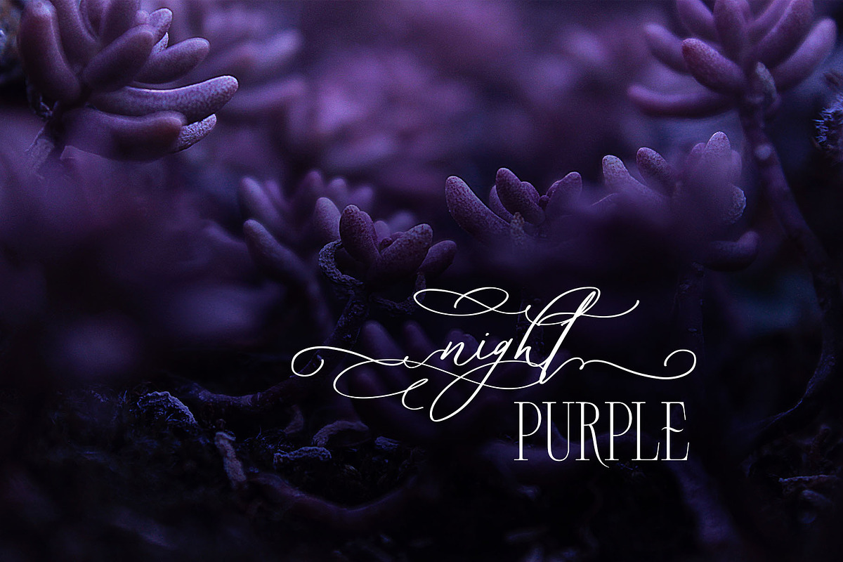 Elly Sandeo Wedding Cyrillic font, a Script Font by IraDvilyuk (Photo 5 of 18)