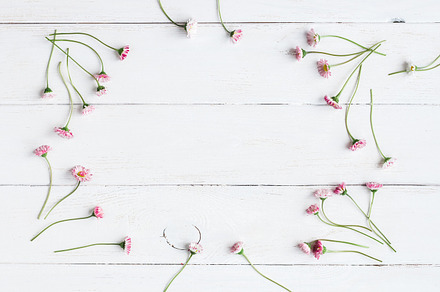 Daisy flowers stock photo containing flat lay and frame, an Arts & Entertainment Photo by Flaffy