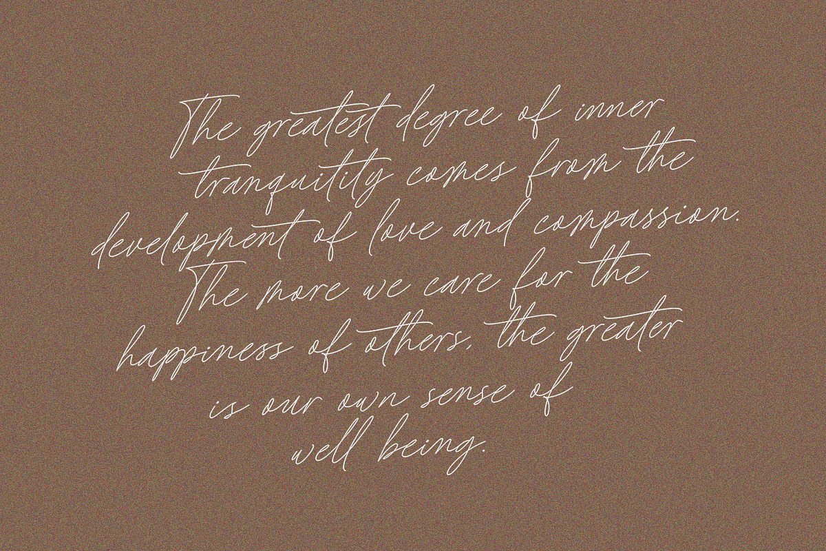 Baked Salmon - Monoline Script Font, a Script Font by Subectype Studio (Photo 6 of 9)