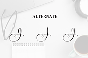 Dailyn | Script Font, a Handwritten Font by Scratchones (Thumbnail 8 of 9)