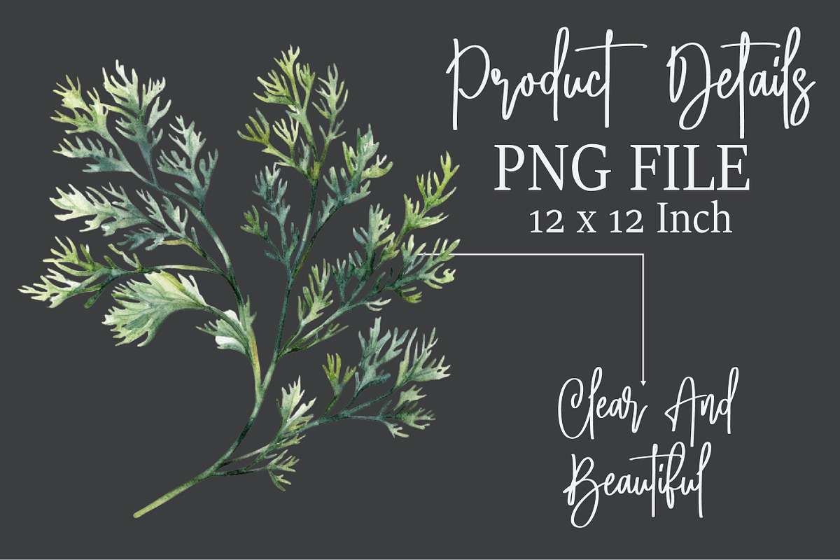Winter Herbs Sublimation Clipart, an Illustration by Rose Art (Photo 7 of 7)