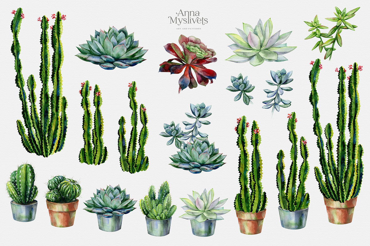 Cacti & Succulents, a Decorative Illustration by Anna Myslivets Art (Photo 3 of 9)