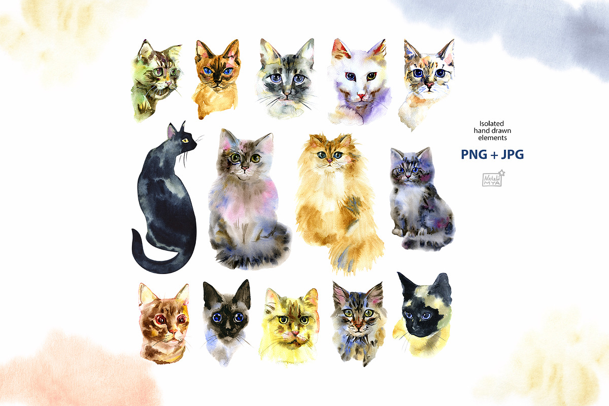 Watercolor cats clipart, an Animal Illustration by NataliMiasStore (Photo 2 of 6)
