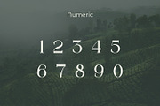 Megarow, a Serif Font by Rishsketch (Thumbnail 12 of 13)