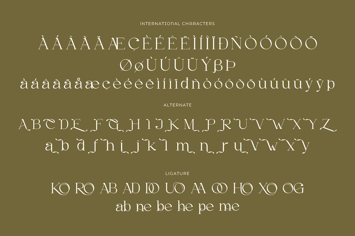 Gineby - Serif Typeface Font, a Serif Font by Rishsketch (Photo 15 of 16)
