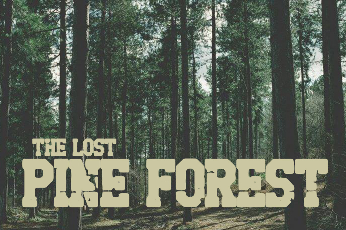 zebra cross brush font preview 3