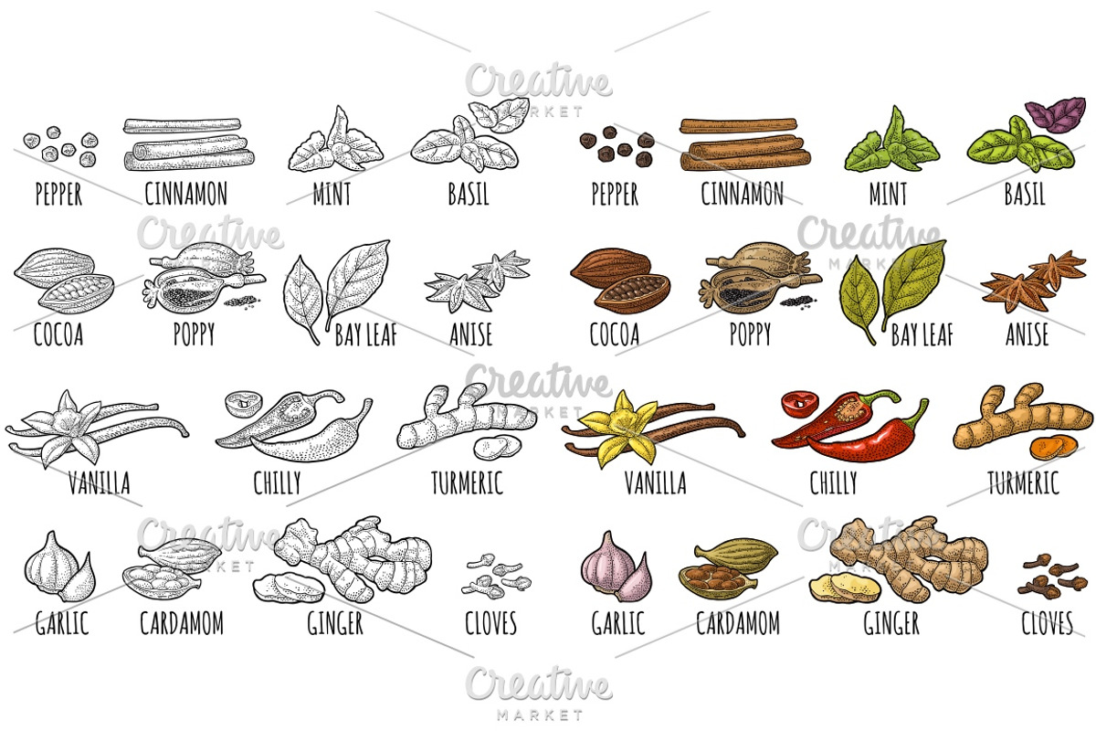 Set of Spices. Engraving, a Food Illustration by MoreVector (Photo 1 of 3)