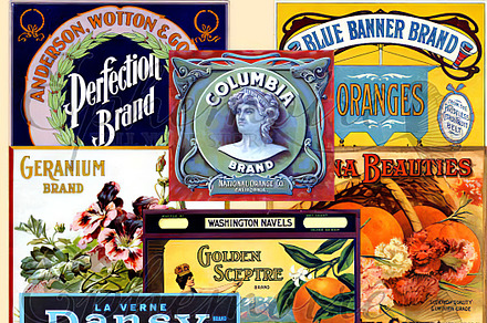Vintage Fruit Crate Labels - 8 PNGS