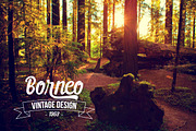 Pumpkino Font, a Script Font by redbox.design (Thumbnail 4 of 5)