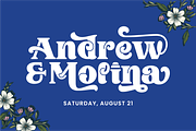 Awesome Christmas, a Serif Font by ahweproject (Thumbnail 5 of 13)
