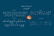 Briggta Melecotta, a Handwritten Font by Differentialtype (Thumbnail 6 of 8)