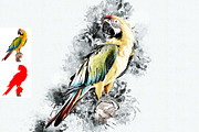 Photo to Ink Art Photoshop Action, an Action Add-On by MRI STUDIO (Thumbnail 7 of 10)