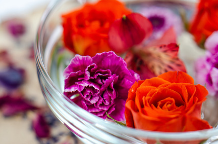 Flower essence featuring elixir, rose, and organic, a Nature Photo by Coral Antler
