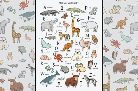 Animal Alphabet