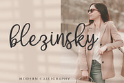 Dichigan - Modern Calligraphy Script, a Script Font by Motokiwo (Thumbnail 4 of 11)
