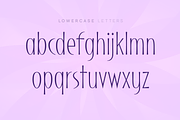 Skinny Pro Font, a Font by FG Studios (Thumbnail 3 of 3)