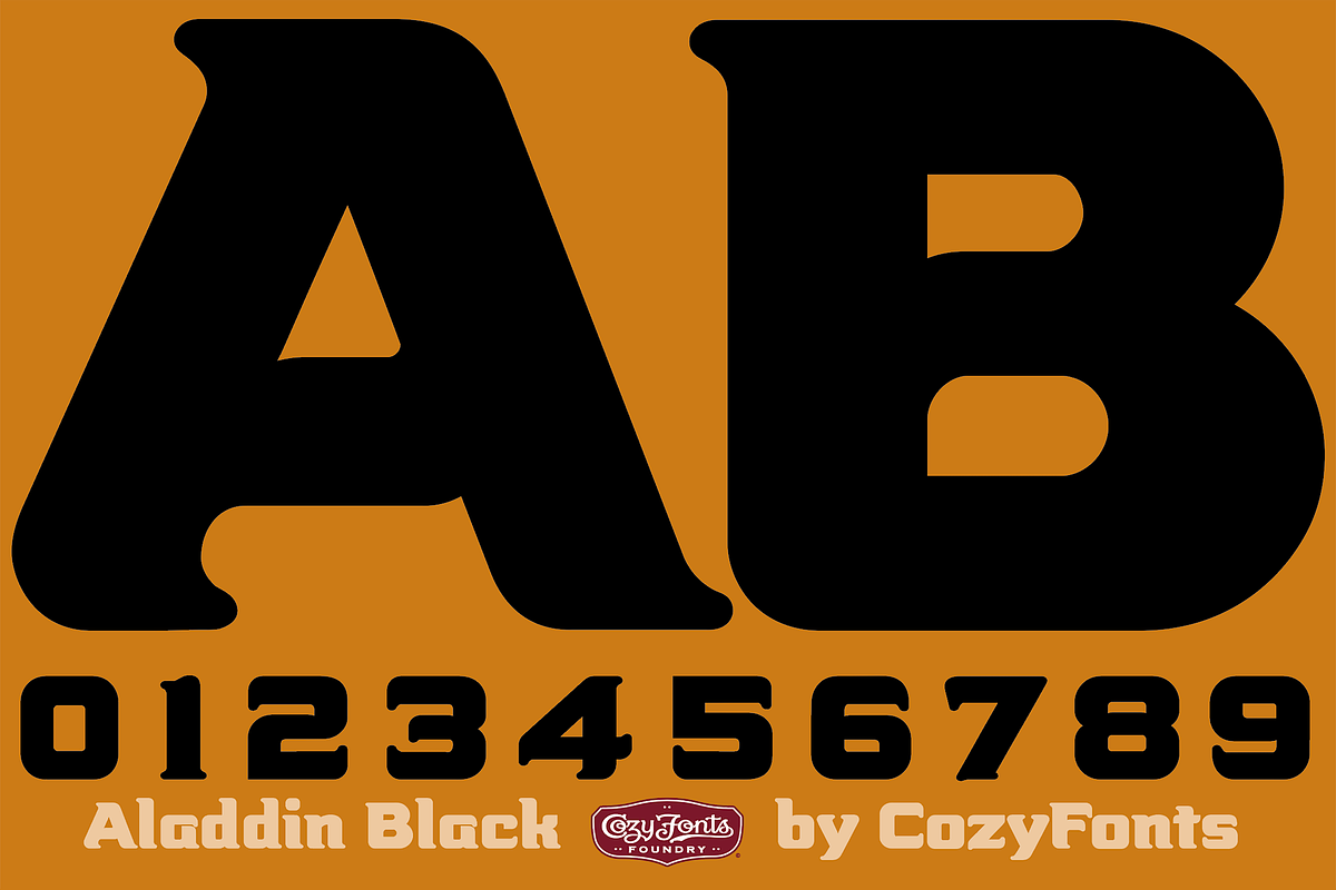 Aladdin Black, a Font by CozyFonts Foundry (Photo 2 of 6)