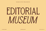 CS Sione Drawn, a Serif Font by Craft Supply Co. (Thumbnail 4 of 8)