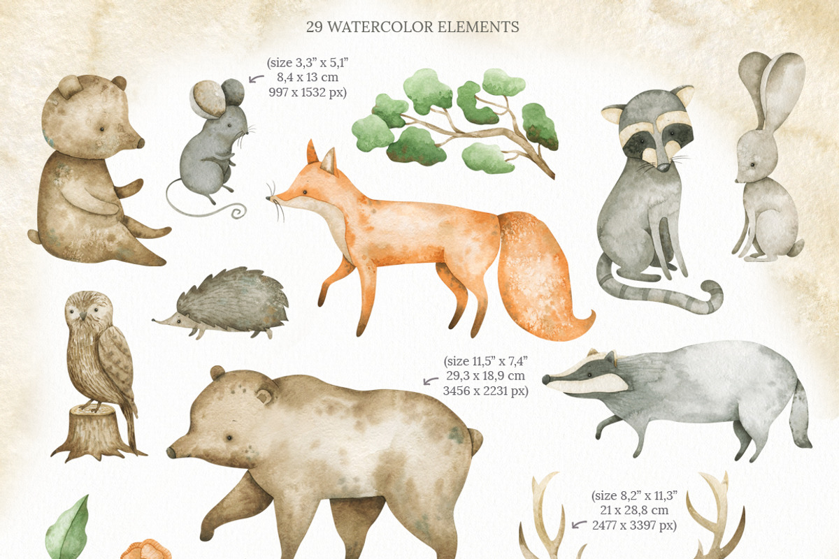 Watercolor woodland animals set, an Animal Illustration by OrangePeafowlArt (Photo 2 of 14)