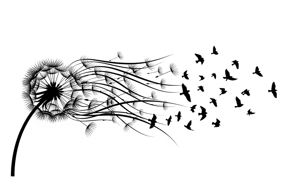 Dandelion Blow Silhouette Bundle, an Illustration by yasushie (Photo 20 of 31)