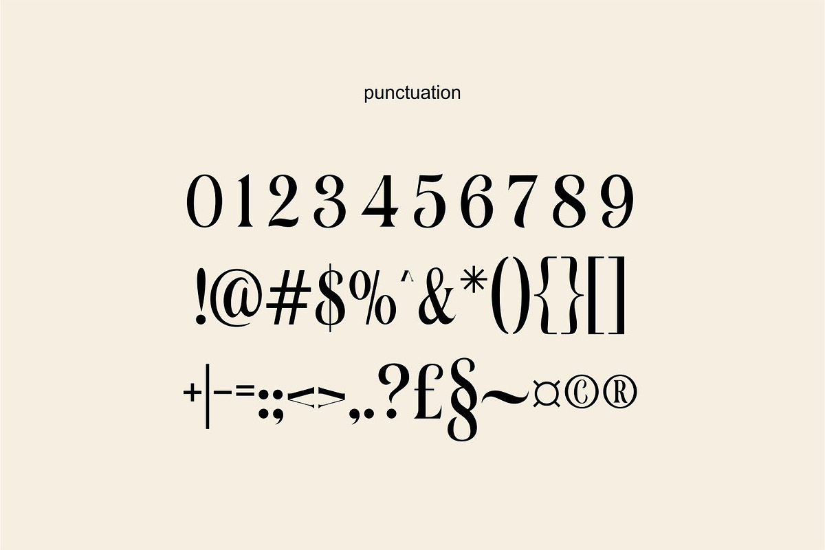 Soulmate Vasque Editoral Serif Font, a Serif Font by WhymoreArt (Photo 10 of 10)