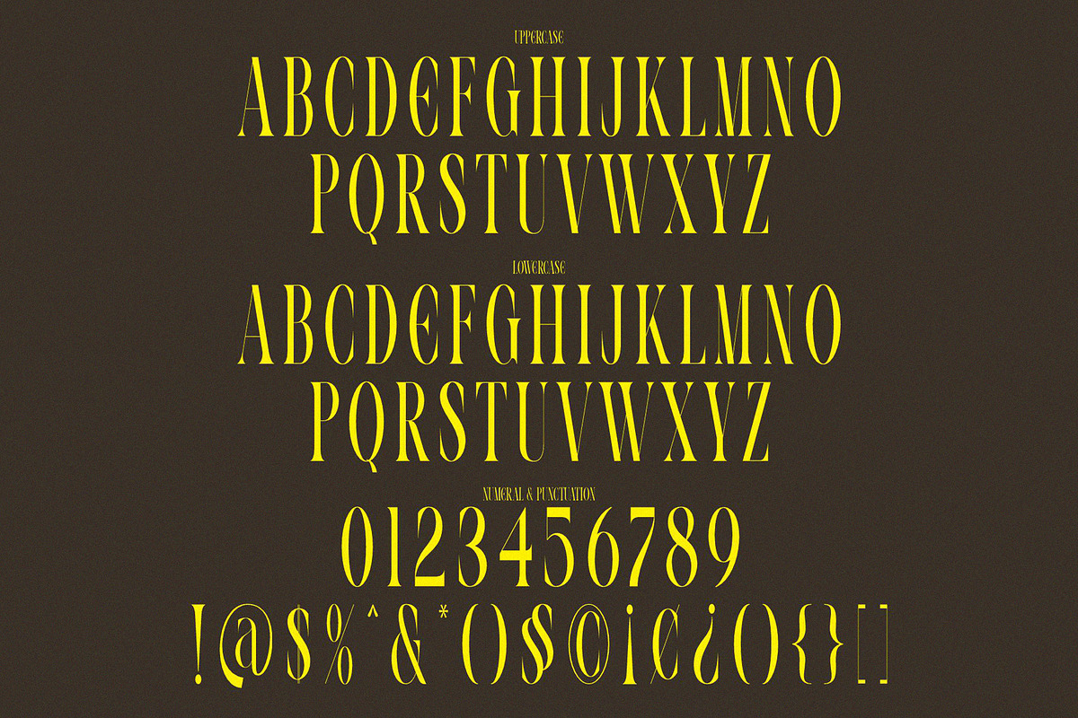 VOLTUNE Elegant Condensed Serif, a Serif Font by Alfinart (Photo 8 of 10)