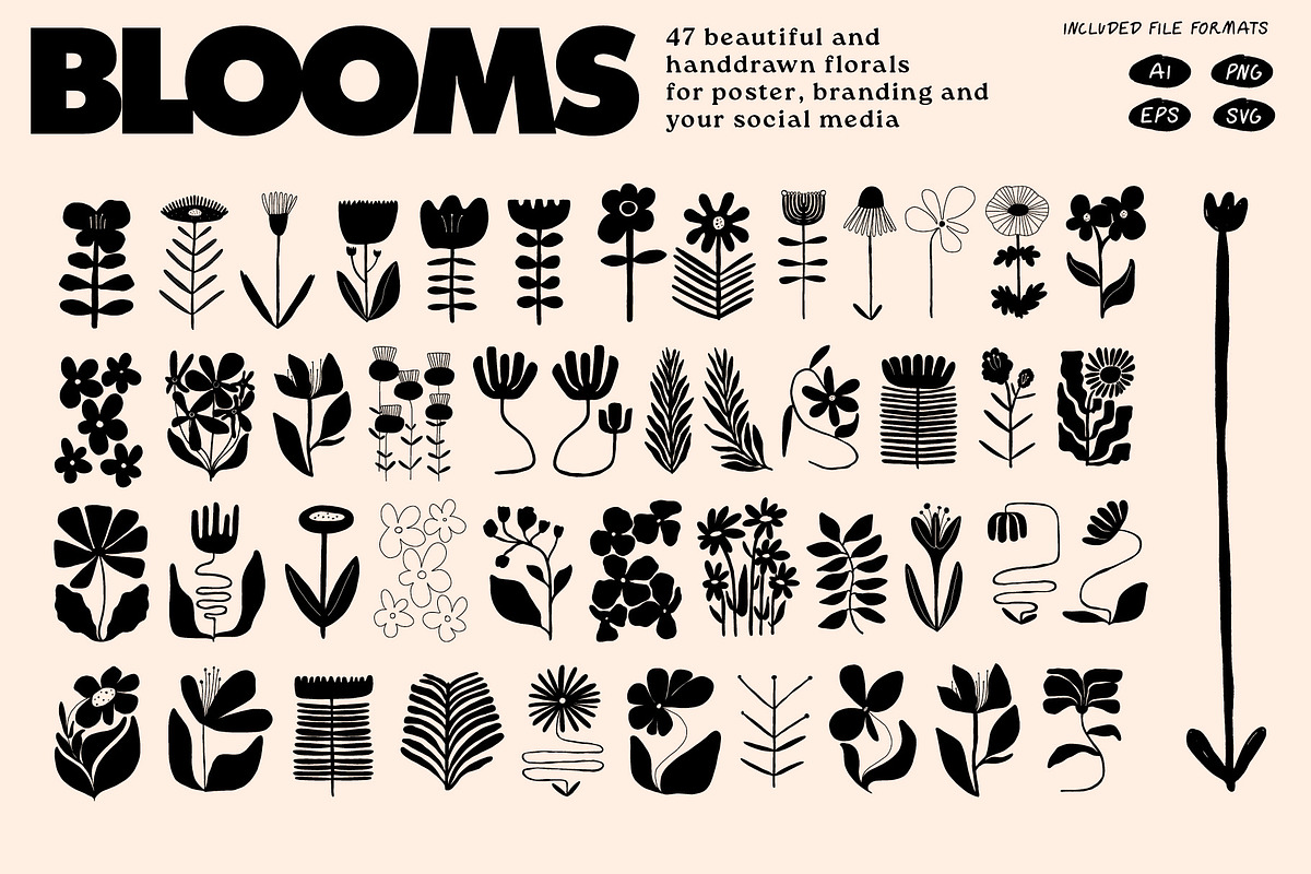Botanical Vases Illustration Set, a Decorative Illustration by dicreate (Photo 3 of 18)