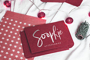 Bestlady Brush Font, a Script Font by Dhan Studio (Thumbnail 8 of 11)