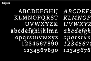 Capita, a Serif Font by Hoftype (Thumbnail 7 of 15)