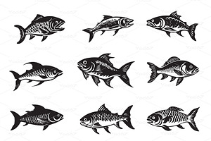 Collection of various tarpon oxeye, an Animal Illustration by yod67