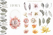 Animals Watercolor Clipart Bundle, an Animal Illustration by Cat In Colour (Thumbnail 23 of 41)