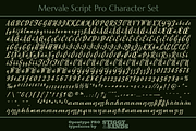 Mervale Script Pro, a Script Font by Stiggy & Sands (Thumbnail 5 of 5)