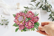 Watercolor protea flower set, an Illustration by Artmanata (Thumbnail 15 of 18)