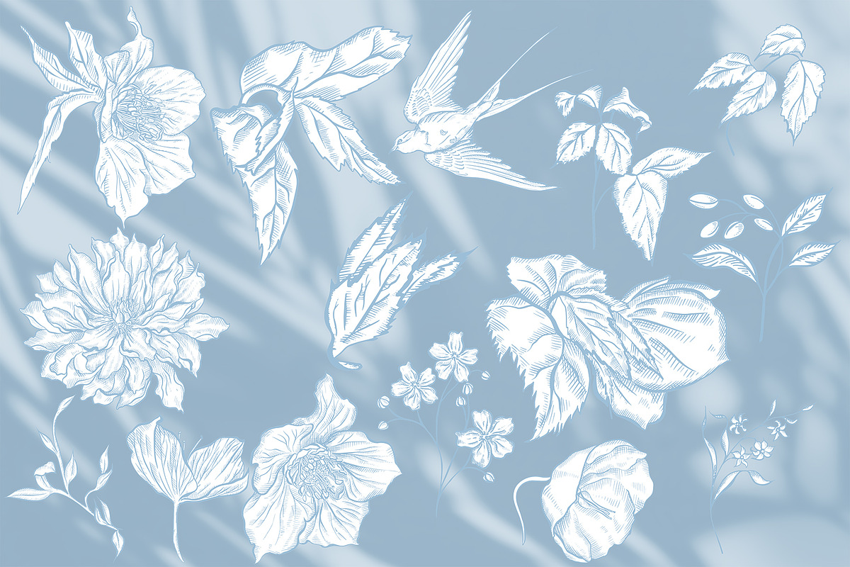 Graphic Blue 3 Wedding Collection, an Object Graphic by Knopazyzy (Photo 14 of 14)