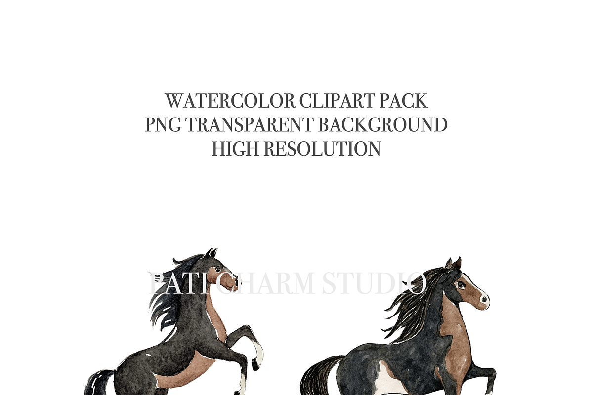 20 Horse Clipart, an Animal Illustration by Pati Charm Studio (Photo 5 of 8)