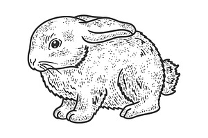 Little Rabbit Sketch Vector