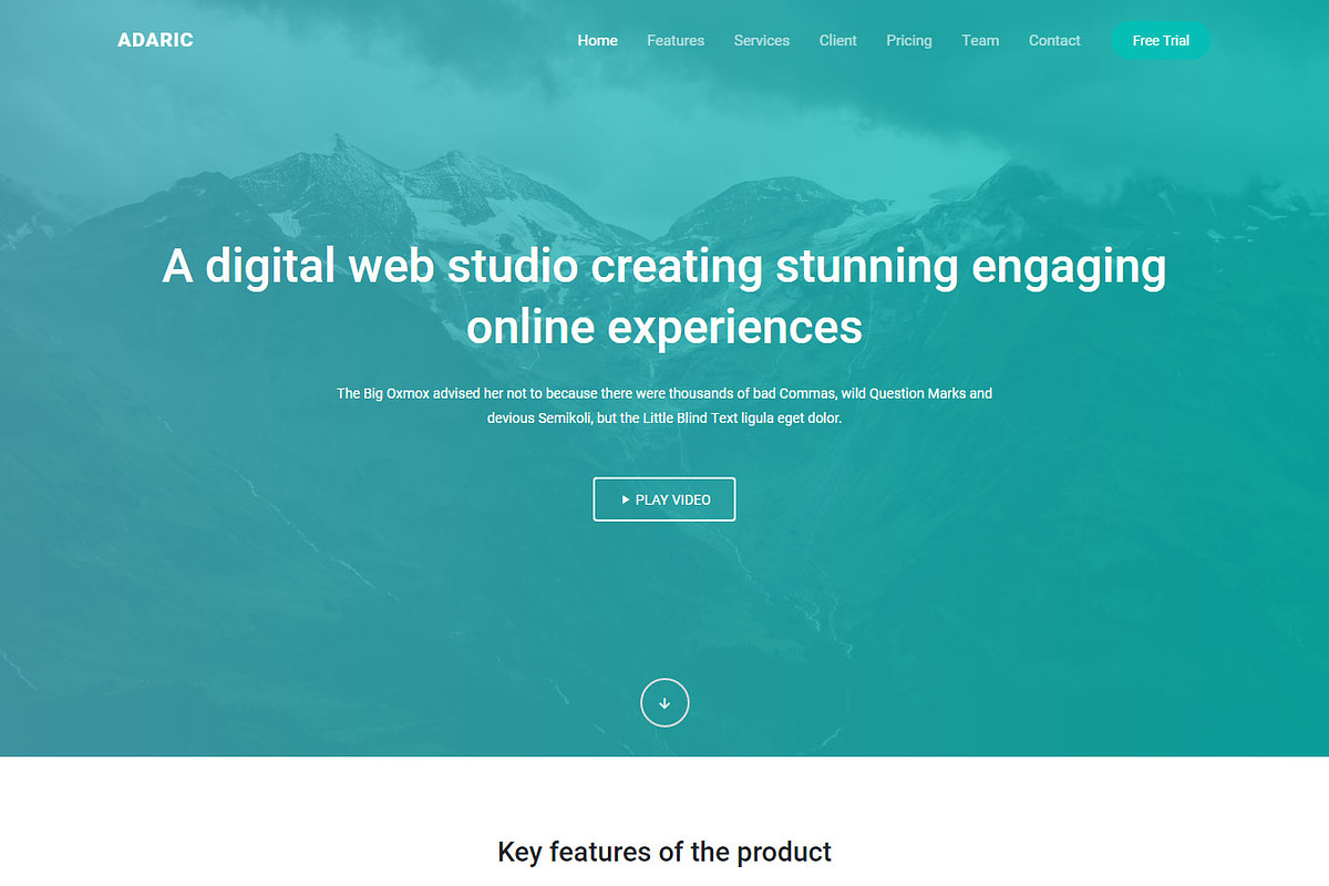 Adaric - Landing Page Template, a HTML Template by Pichforest Studio (Photo 1 of 6)