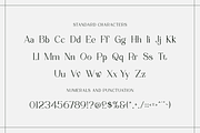 Figurative - Elegant Serif Font, a Serif Font by RockboyStd (Thumbnail 9 of 12)