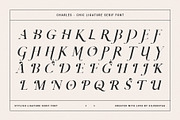 Charles - Ligature Serif Font Family, a Serif Font by SilverStag Type Foundry (Thumbnail 26 of 32)