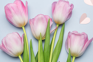 Pink tulips and paper hearts creating a romantic atmosphere, a Holiday Photo by Olena Rudo