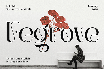 Fegrove Stylish Display Serif Font, a Serif Font by Glyphminds Studios