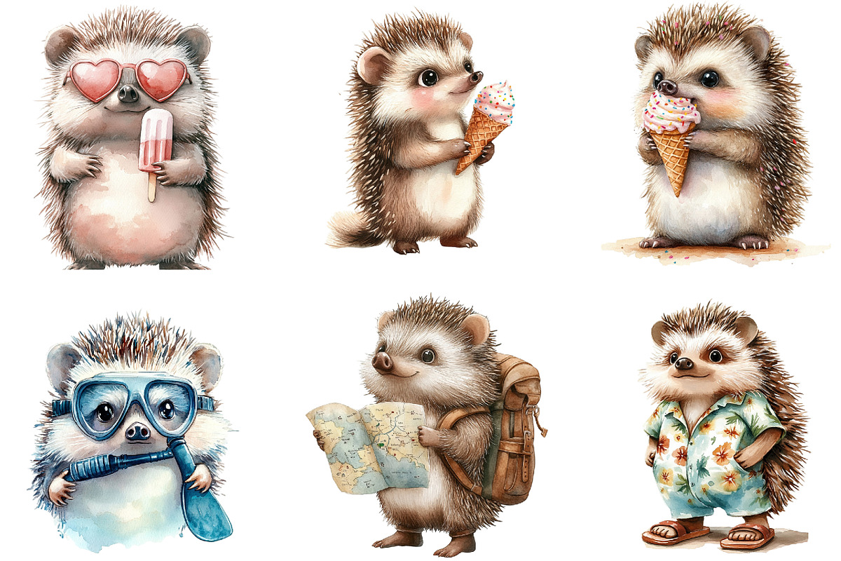 Summer Hedgehog Clipart, an Illustration by DreamArtGraphic (Photo 4 of 4)