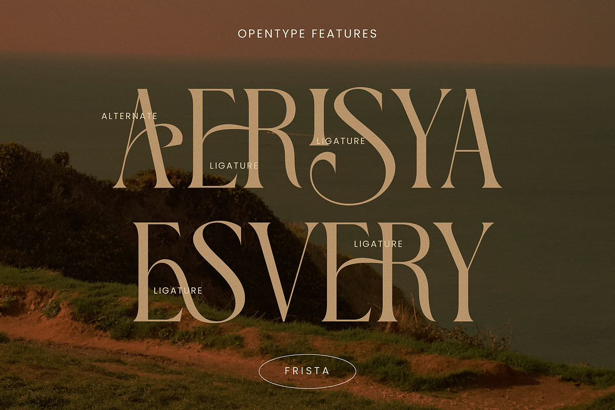 FRISTA || modern ligature, a Serif Font by ToniStudio (Photo 8 of 12)