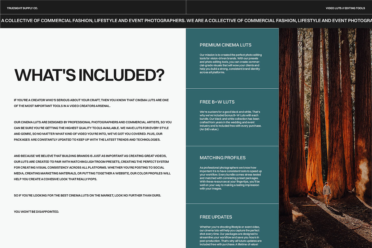 Redwood Sunset - Video LUTs, a Brushes & More by Truesight Supply Co. (Photo 5 of 6)