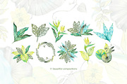 Delicate Tropics Watercolor Clipart, a Decorative Illustration by NataliMiasStore (Thumbnail 5 of 7)