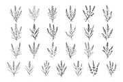 50 Lavender Procreate Stamps Brushes, a Brush Add-On by Procreate Sale (Thumbnail 5 of 6)