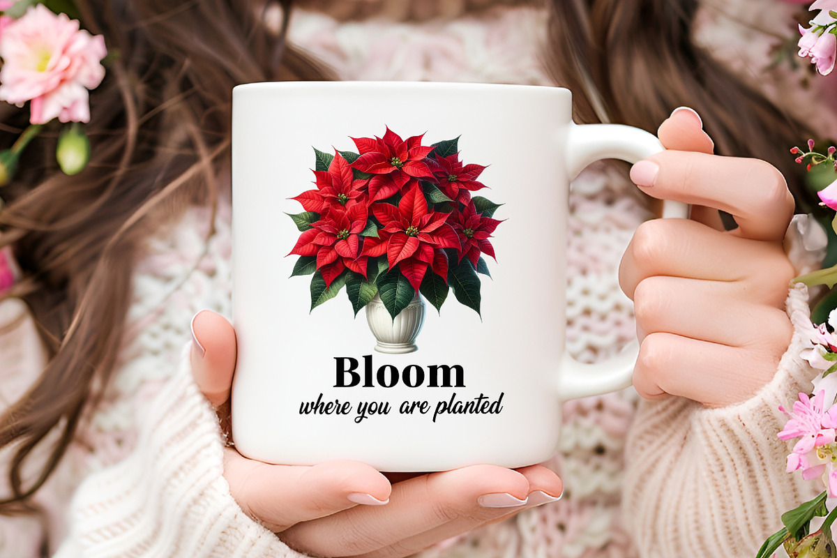 Christmas Poinsettia Flower PNG Clip, an Illustration by RobertsArt (Photo 5 of 5)