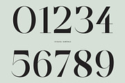 CS Salsa – Elegant Serif Font, a Serif Font by Craft Supply Co. (Thumbnail 5 of 8)