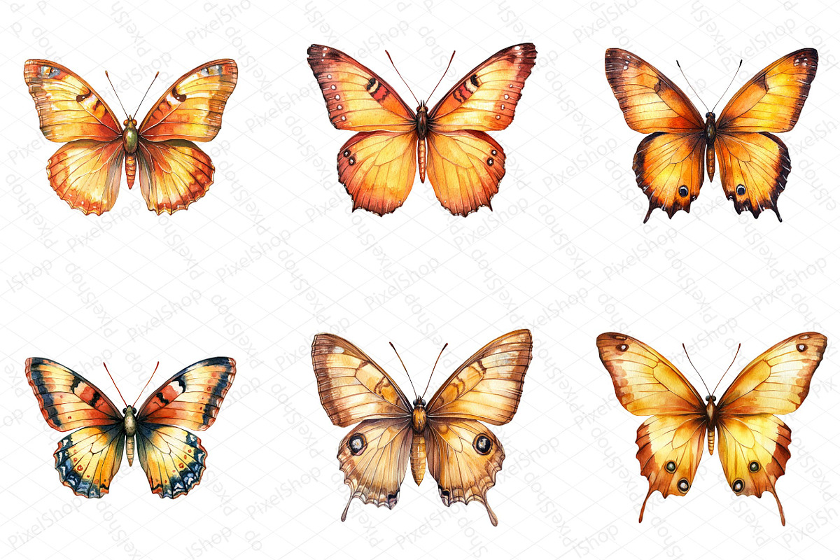 Watercolor Fall Butterfly Clipart, an Illustration by DreamPrint404 (Photo 5 of 5)