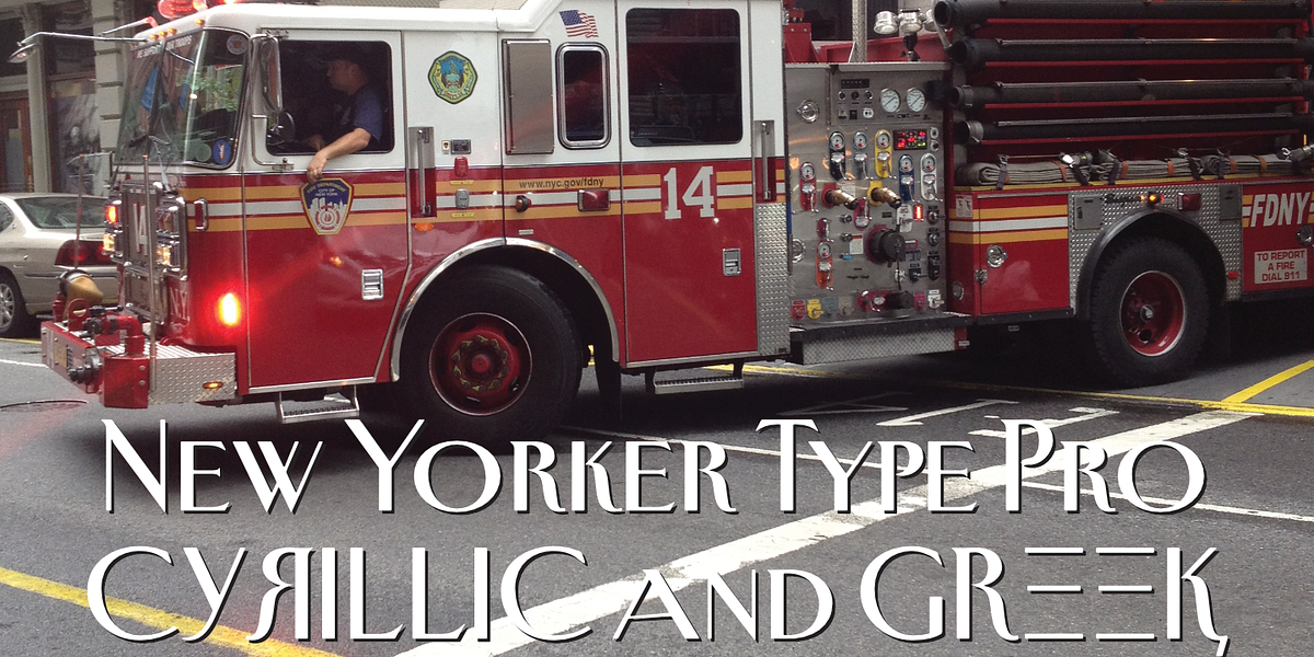 New Yorker Type Classic, a Serif Font by Wiescher-Design (Photo 4 of 8)
